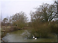 Pond at North End Farm