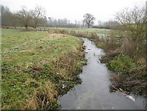 SU9895 : River Misbourne near Chalfont St Giles by Nigel Cox