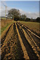 Bridleway and track opposite Copley Farm