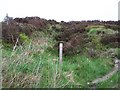 Footpath off Myers Lane, Loxley Chase, Sheffield