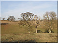 Farmland in Herefordshire