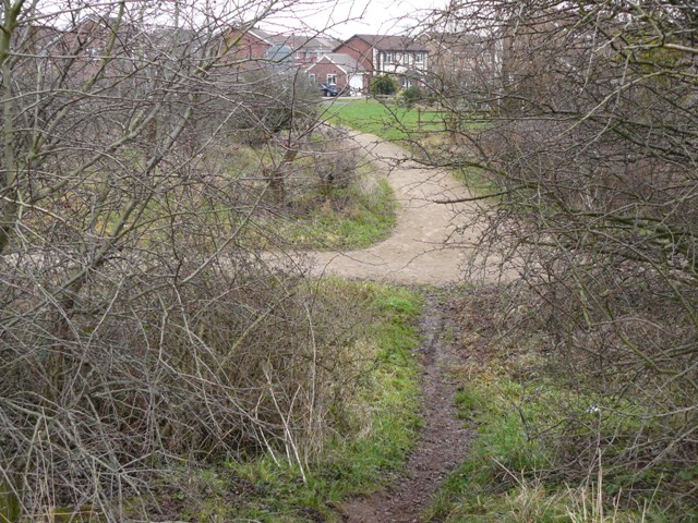 Path leading to Toton from the bank