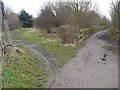 Splitting path at Toton