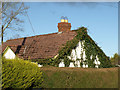 Roof of Tiny cottage