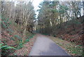 Going down the Incline, Cycleway 2