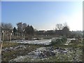 Eastwick Allotments