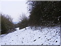 Snowy Hillside