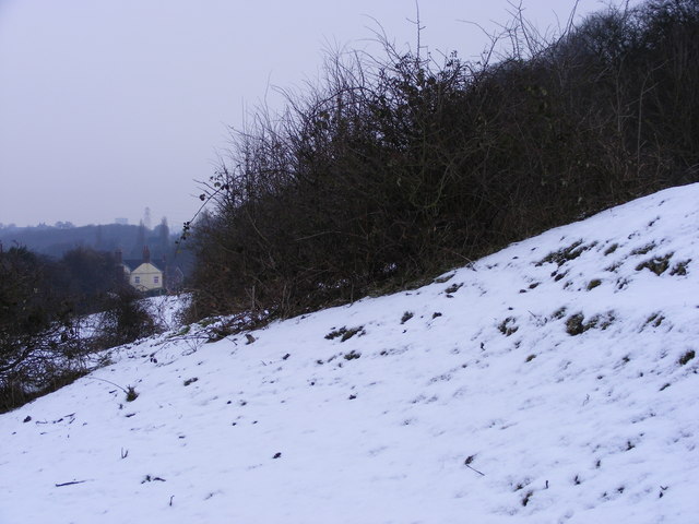 Snowy Path to the Farm