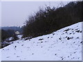 Snowy Path to the Farm