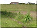 Football pitch, Brora