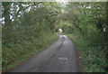 Farm lane in small area of woodland by Pen-y-bryn