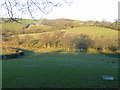 Sheep country east of Tregynon