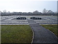 The Millennium cemetery