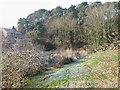 Poole, Coy Pond Gardens