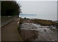 Photographer on the Exe estuary at Topsham