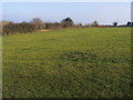 Footpath past  Fryers Farm