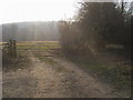 Footpath and bridleway