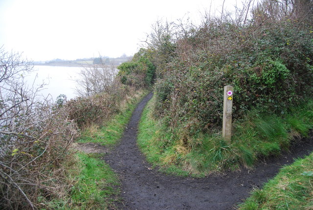East Devon Way leaves the River Exe