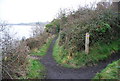 SX9981 : East Devon Way leaves the River Exe by N Chadwick