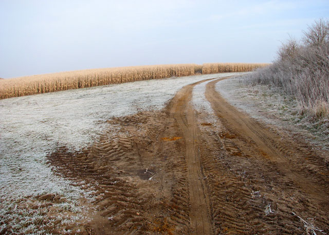 Farm track leading into fields