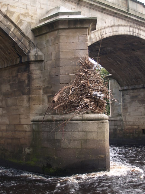 Flood debris on Bywell Bridge