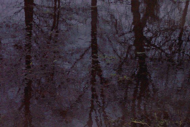 Reflections in the lake at Parkfields