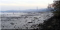 Low tide on the shore of the River Test