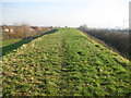 Cippenham: M4 Motorway embankment