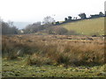 Boggy land, near Bowden Farm