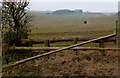 Cross country jump at Heave Coppice