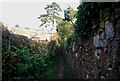 The inland coastal path passes through North Teignmouth