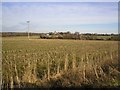 Holme Hale Church from Station Road