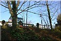 Bus Stop near the junction of Teighmouth Rd & Old Teignmouth rd.