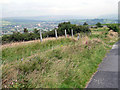 Werneth Low