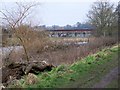 River Stour, Wimborne