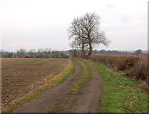 SP4466 : Farm track south of Leamington Hastings by Andy F