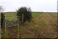 Old Farm Track near Piddlehinton