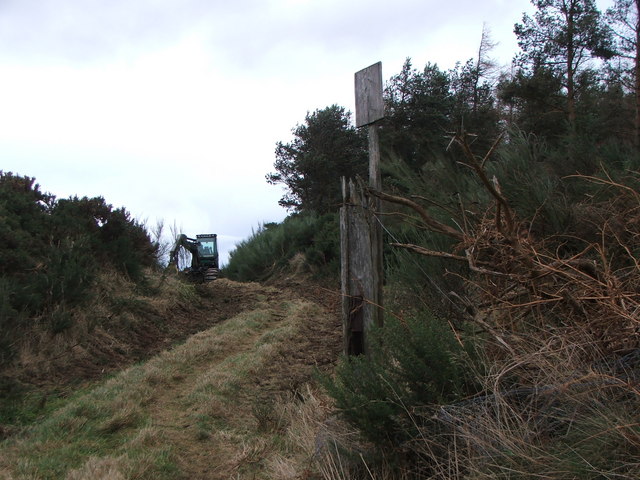 Entrance to Wood of North Keig