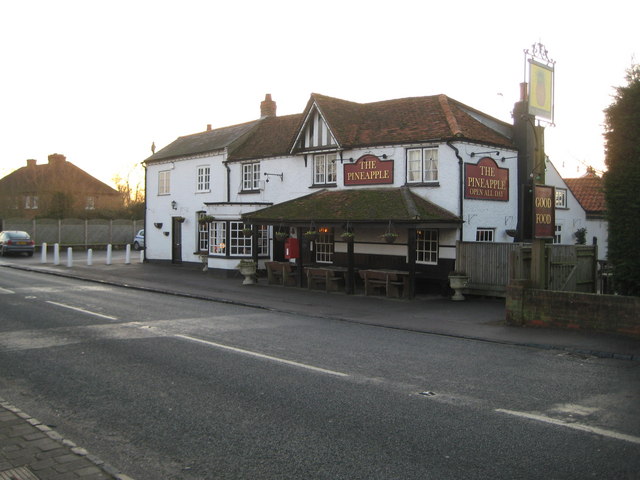 Dorney: The Pineapple © Nigel Cox :: Geograph Britain and Ireland