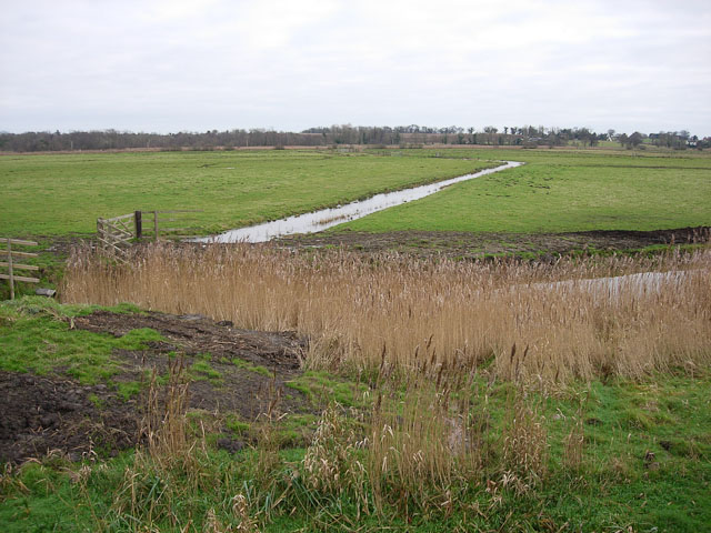 Ditch across Cantley Marshes