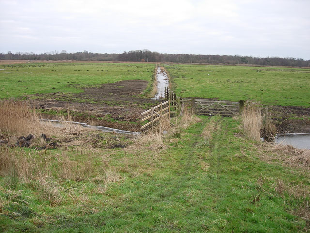 Access to the marshes