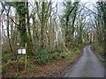 Coed Wern Ddu Nature Reserve