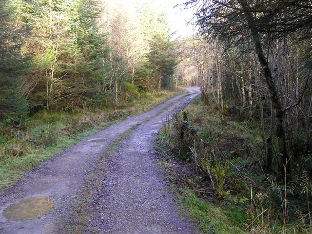 Road at Carrickrevagh