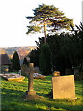 ST5015 : Odcombe Churchyard by Sarah Smith