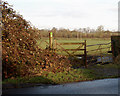 Bascote, footpath gate