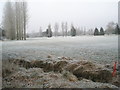 A frosty scene at Rowlands Castle Golf Club