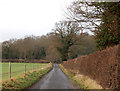 Farm road, Marton