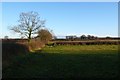 Countryside near Yetminster