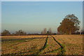 Farmland, Brightwell Baldwin