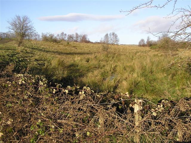 Drumcully Townland
